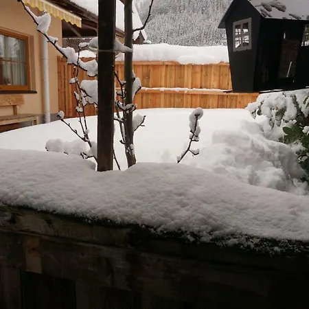 Appartement Schneeberger